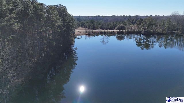 352 Lynch RD, Coward, SC 29530