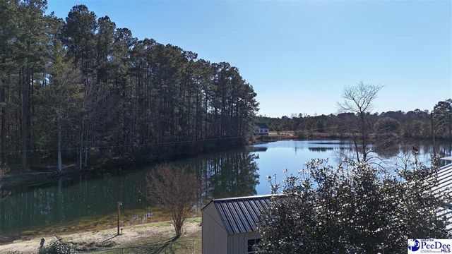 352 Lynch RD, Coward, SC 29530