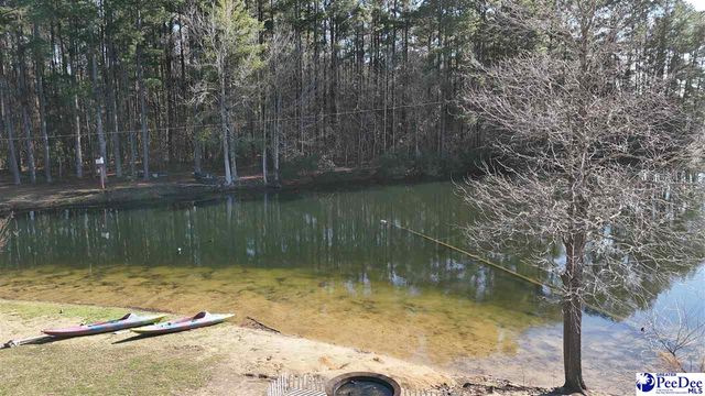 352 Lynch RD, Coward, SC 29530