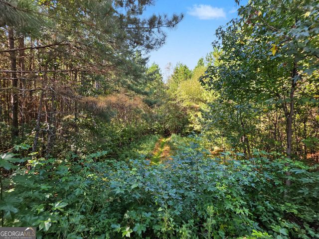 5620 Shiloh Woods Drive, Cumming, GA 30040