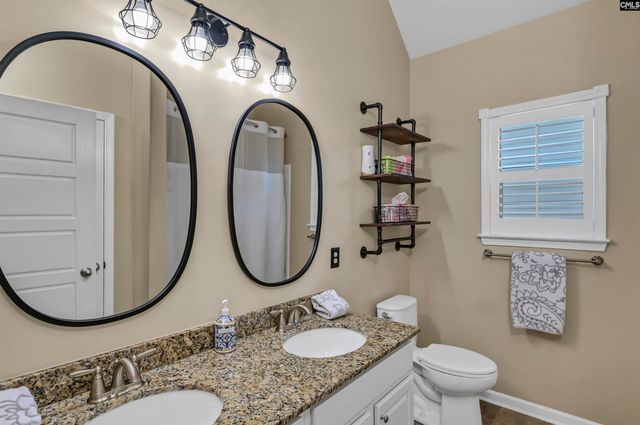 229 Lever Pass Road, Chapin, SC 29036