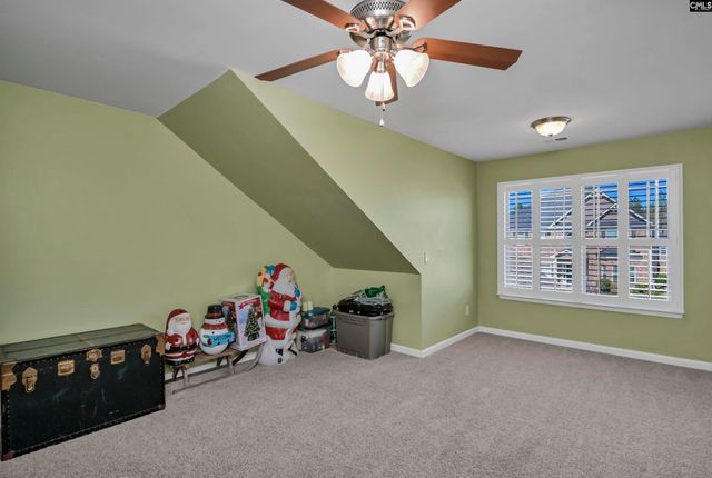 229 Lever Pass Road, Chapin, SC 29036