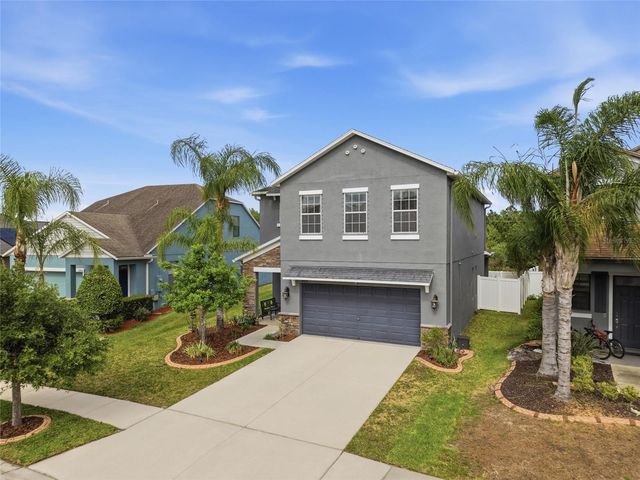 18891 HAMPSTEAD HEATH COURT, Land O Lakes, FL 34638