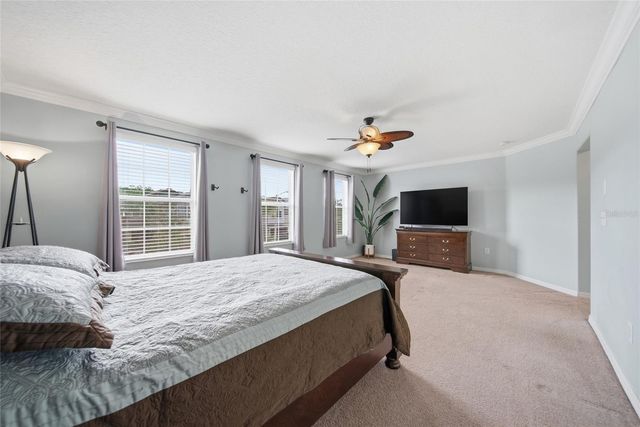 18891 HAMPSTEAD HEATH COURT, Land O Lakes, FL 34638