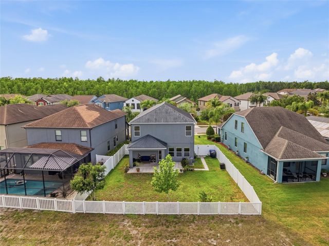 18891 HAMPSTEAD HEATH COURT, Land O Lakes, FL 34638