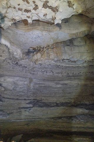 1 Cavern Bunker, Shelbyville, TN 37160