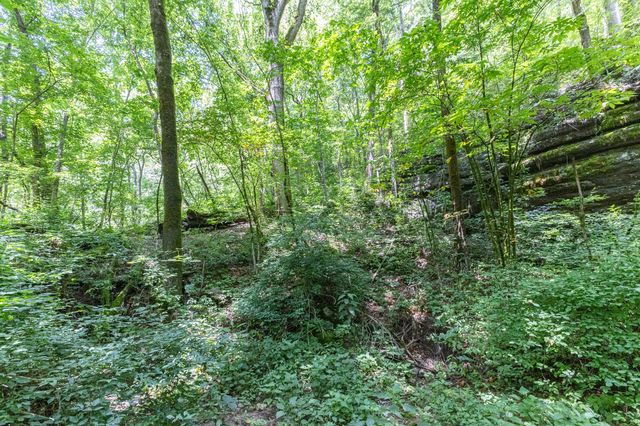 1 Cavern Bunker, Shelbyville, TN 37160