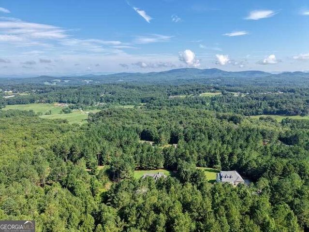 345 Loftis Mountain Way, Blairsville, GA 30512