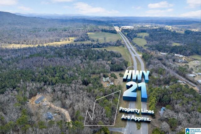 0 ALABAMA HIGHWAY 21, Jacksonville, AL 36265