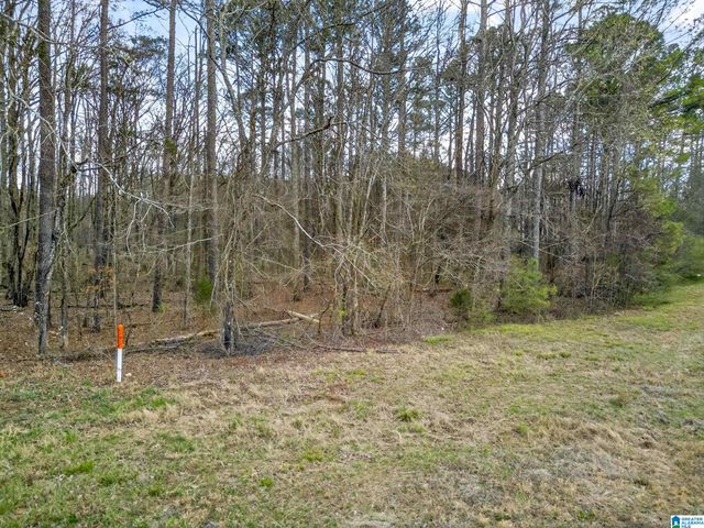 0 ALABAMA HIGHWAY 21, Jacksonville, AL 36265