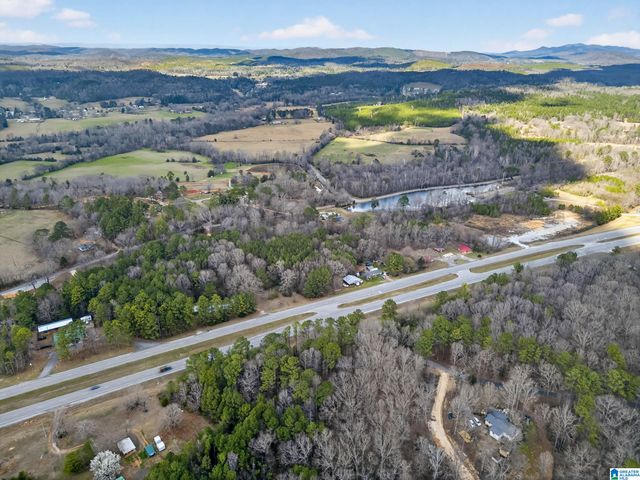 0 ALABAMA HIGHWAY 21, Jacksonville, AL 36265