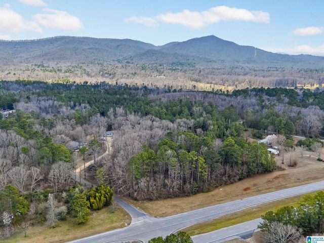 0 ALABAMA HIGHWAY 21, Jacksonville, AL 36265