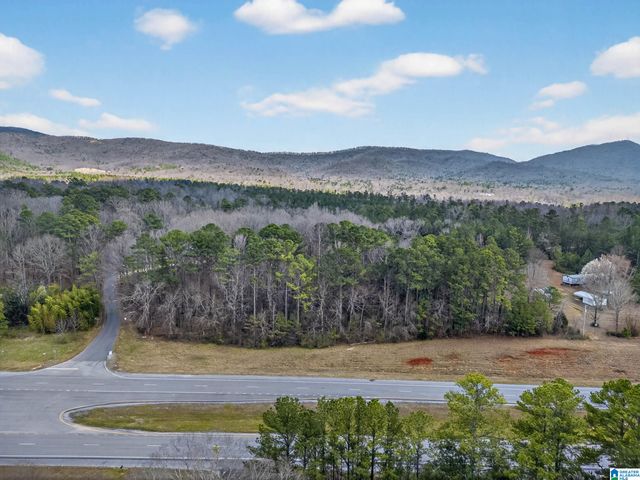 0 ALABAMA HIGHWAY 21, Jacksonville, AL 36265