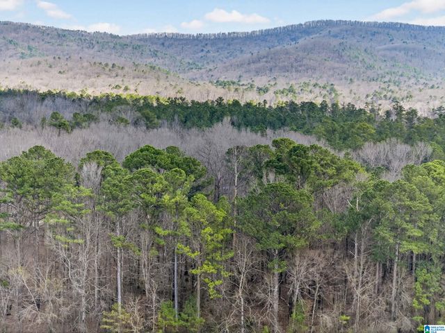 0 ALABAMA HIGHWAY 21, Jacksonville, AL 36265