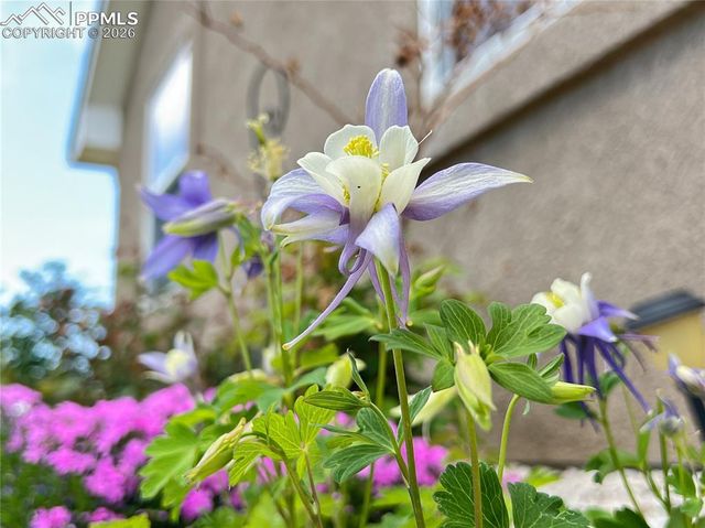 439 N Mitford Drive, Pueblo West, CO 81007