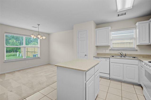 29022 San Jacinto River Court, Spring, TX 77386