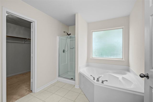 29022 San Jacinto River Court, Spring, TX 77386