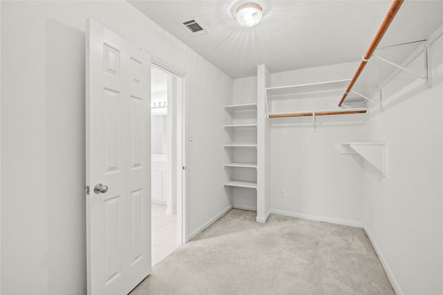29022 San Jacinto River Court, Spring, TX 77386