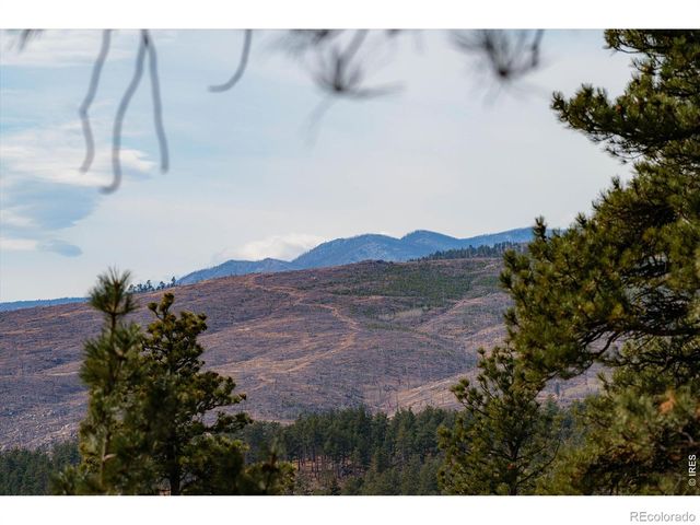 440 La Hermosa Drive, Bellvue, CO 80512