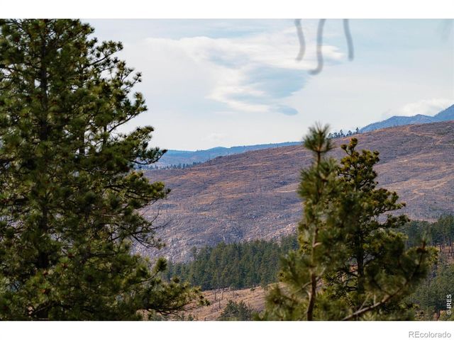 440 La Hermosa Drive, Bellvue, CO 80512