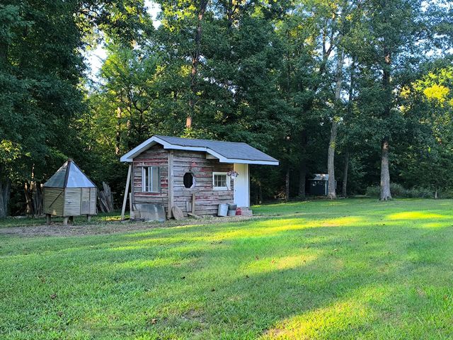 9945 Elkhorn Rd, Springville, TN 38256