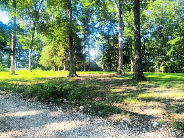 9945 Elkhorn Rd, Springville, TN 38256