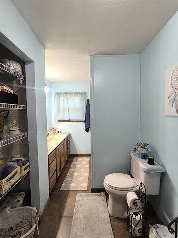 9945 Elkhorn Rd, Springville, TN 38256