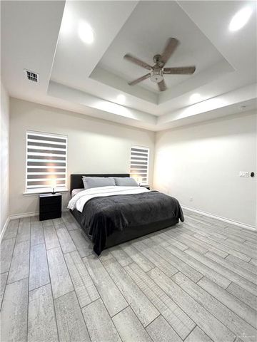 614 Yoli Lane, Donna, TX 78537