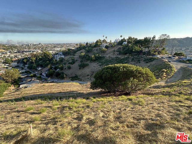 0 Beech & Amp, Mount Washington, CA 90065