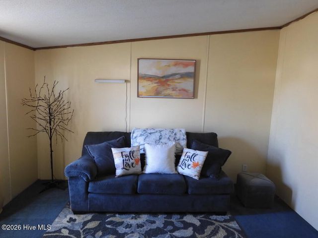 201 Duck Ridge Drive, Pikeville, NC 27863