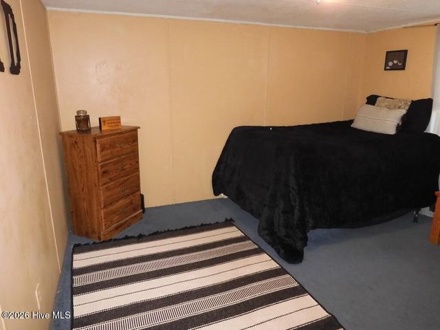 201 Duck Ridge Drive, Pikeville, NC 27863