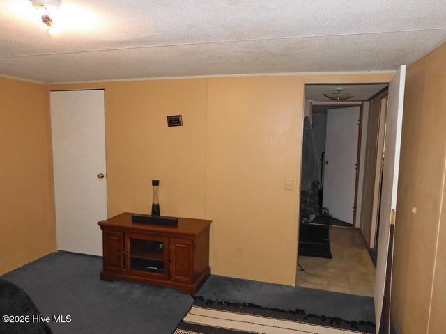 201 Duck Ridge Drive, Pikeville, NC 27863