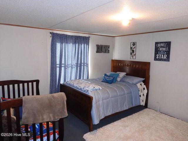 201 Duck Ridge Drive, Pikeville, NC 27863