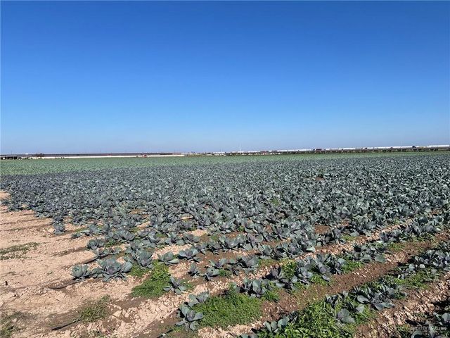 002 S Cage Boulevard, Pharr, TX 78577