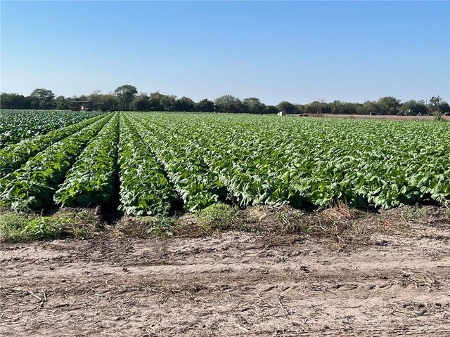 002 S Cage Boulevard, Pharr, TX 78577