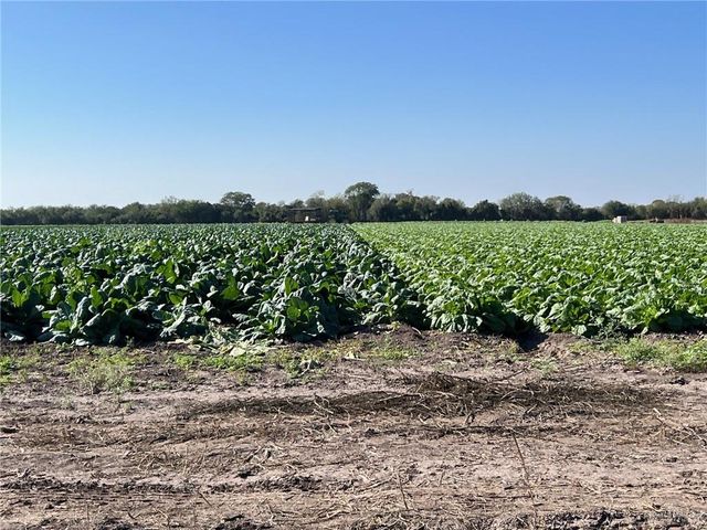 002 S Cage Boulevard, Pharr, TX 78577