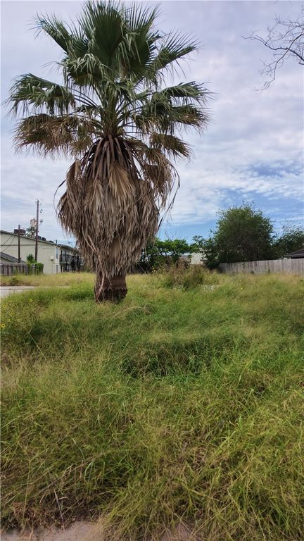 1306 Sandstone Dr, Corpus Christi, TX 78412 — photo 4