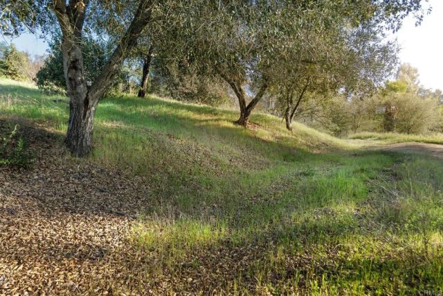 0 McNally, Valley Center, CA 92082
