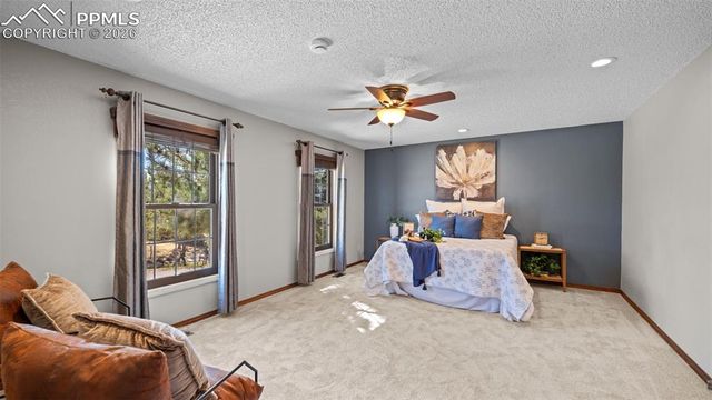 430 Picasso Court, Colorado Springs, CO 80921