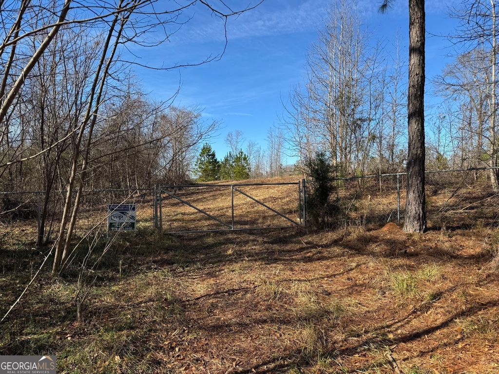 738 Old Mineral Springs Road, Elberton, GA 30635 — photo 2