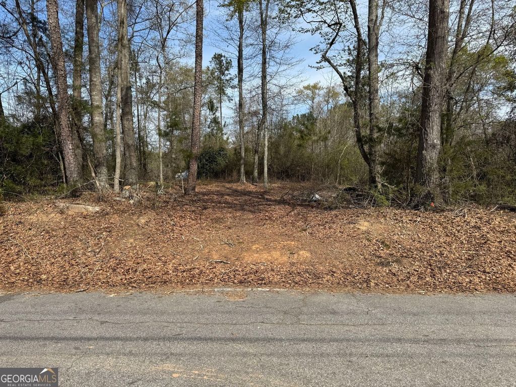 738 Old Mineral Springs Road, Elberton, GA 30635 — photo 3