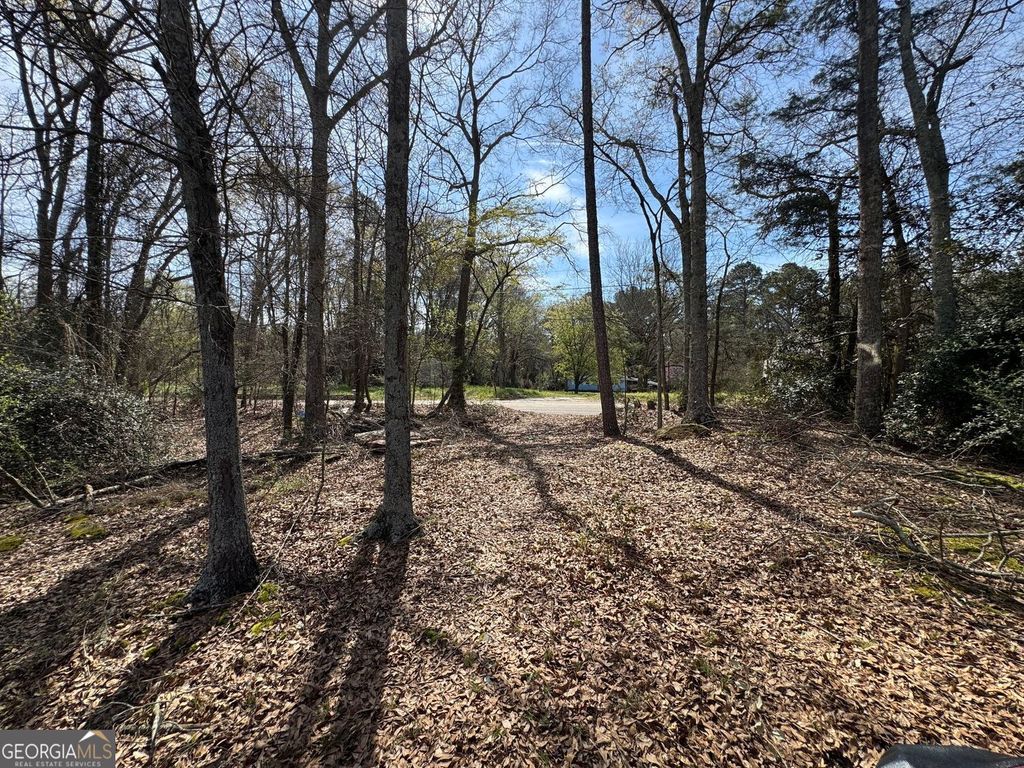 738 Old Mineral Springs Road, Elberton, GA 30635 — photo 4