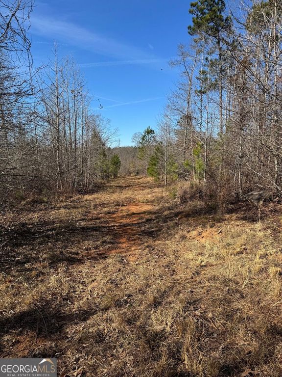 738 Old Mineral Springs Road, Elberton, GA 30635 — photo 5