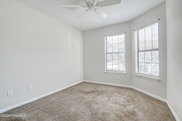 1741 S 41st Street Apt D, Wilmington, NC 28403