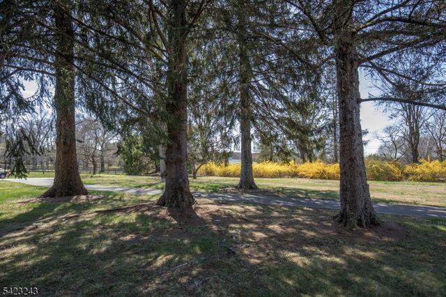 1 Scarlet Oak Rd, Tewksbury Twp., NJ 07830