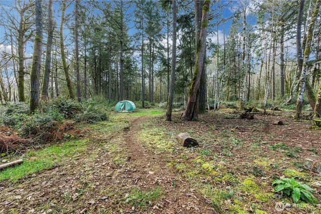 17124 80th Street SW, Longbranch, WA 98351