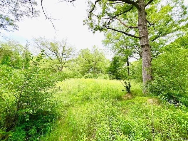 7584 N Route 97 S, Narrowsburg, NY 12764