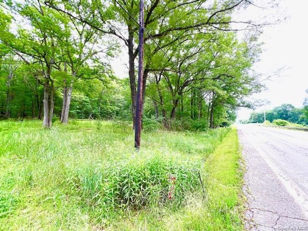 7584 N Route 97 S, Narrowsburg, NY 12764