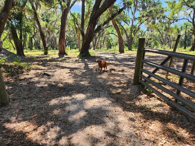 MUCK POND ROAD, Seffner, FL 33584