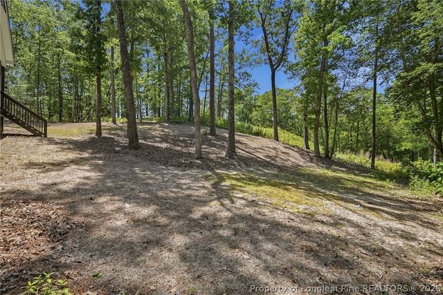 361 Thimbleberry Drive, Vass, NC 28394
